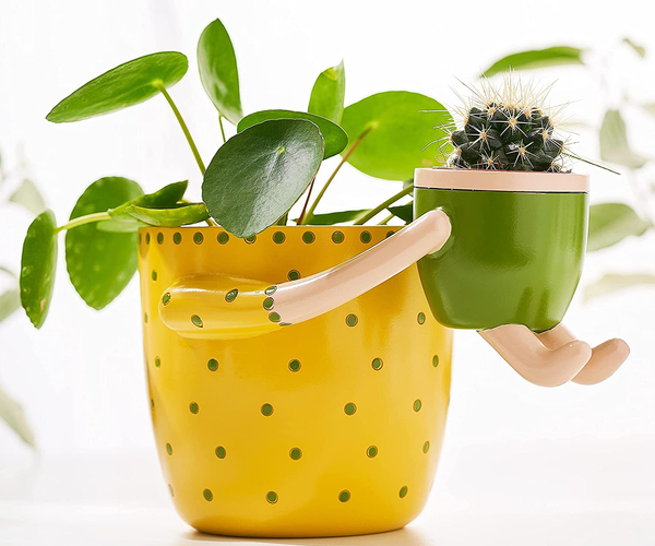 Presenting the Child Funny Planter