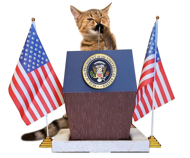 Presidential Podium Cat Scratcher