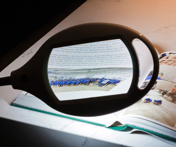 Professional Magnification Lamp