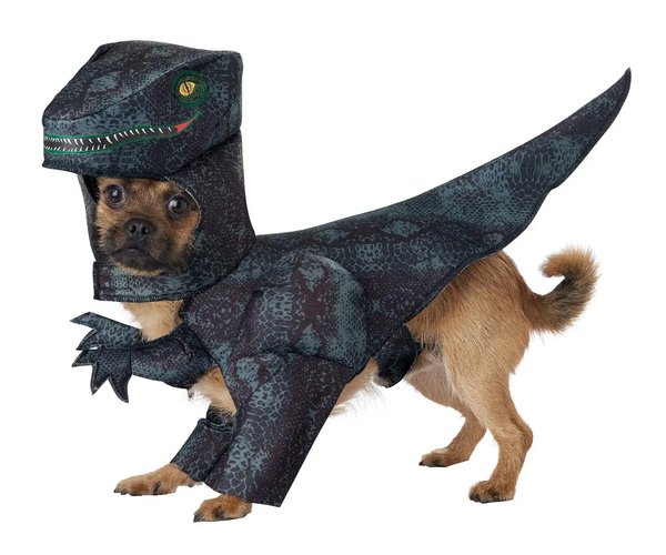 Pupasaurus Rex Costume