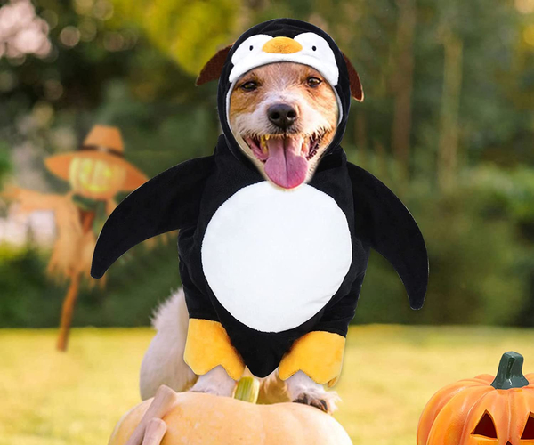 Puppy Penguin Costume