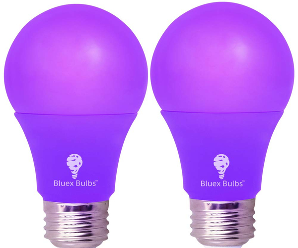 Purple Lightbulbs