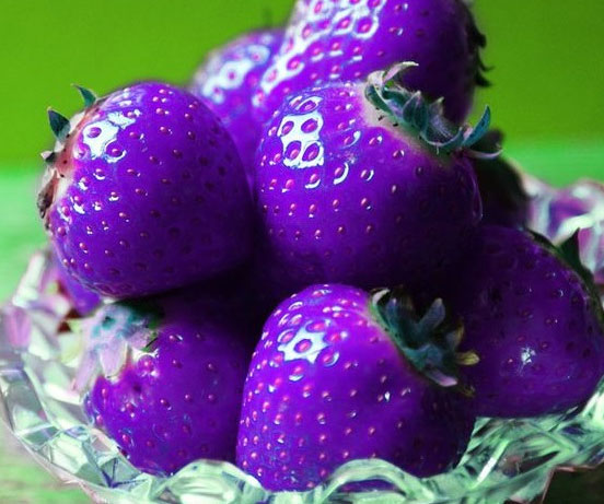 Purple Strawberry Seeds