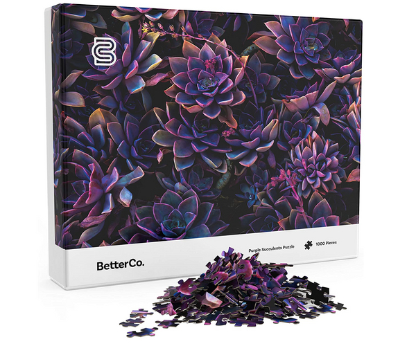 Purple Succulent Puzzle