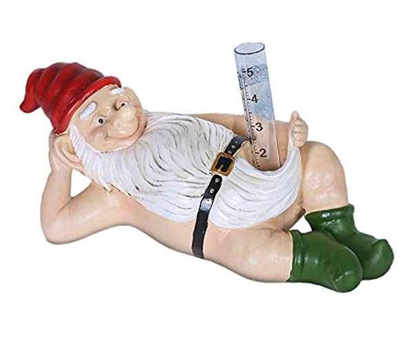 Rain Measuring Gnome