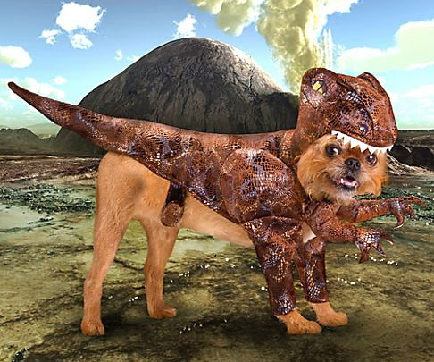 Raptor Dog Costume
