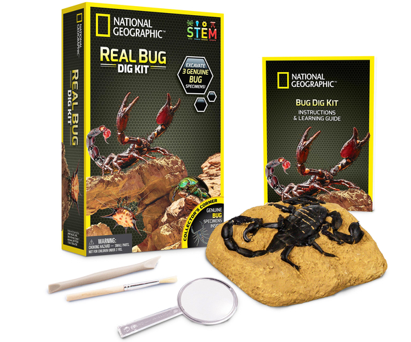 Real Bug Dig Kit