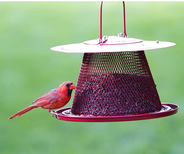 Red Cardinal Bird Feeder