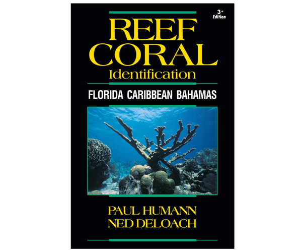Reef Coral Identification: Florida, Caribbean, Bahamas