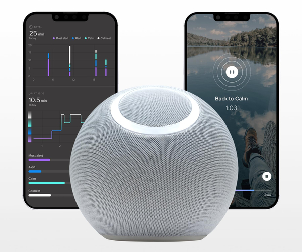 Reflect Orb Biofeedback Relaxation Device