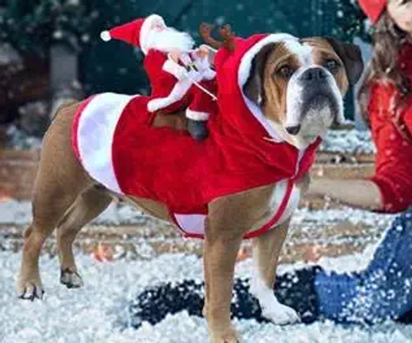 Riding Santa Claus Pet Costume