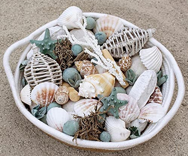 Scented Seashell Potpourri