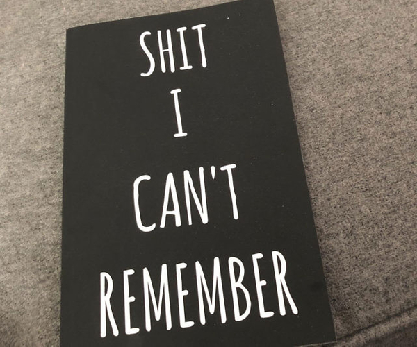 Sh*t I Can't Remember Password Journal