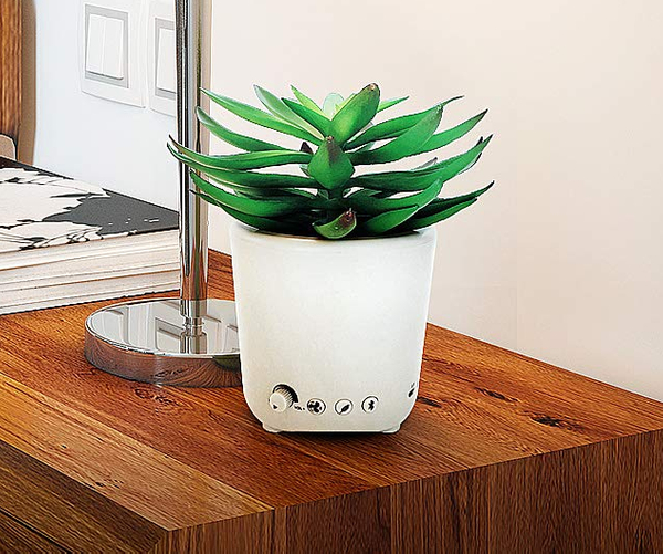 Sleep Plant Nature White Noise Machine