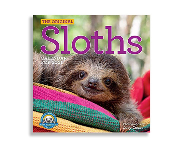 Sloths Wall Calendar