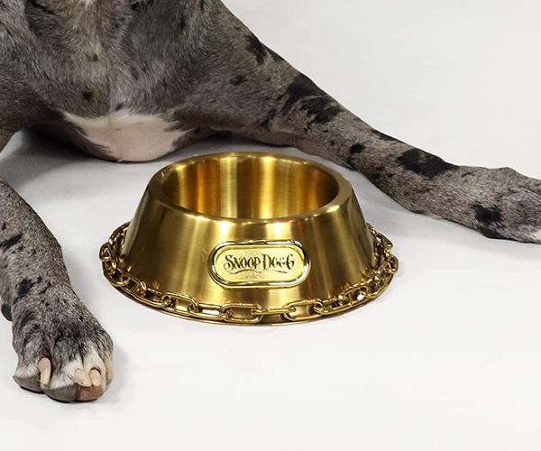 Snoop Doggies Off the Chain Dogg Bowl