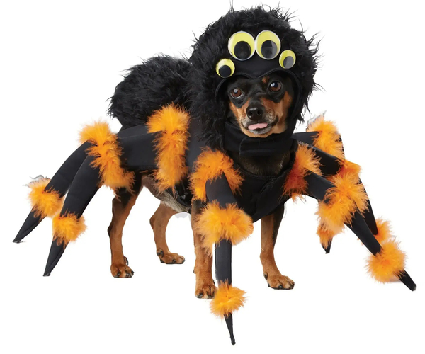 Spider Dog Costume