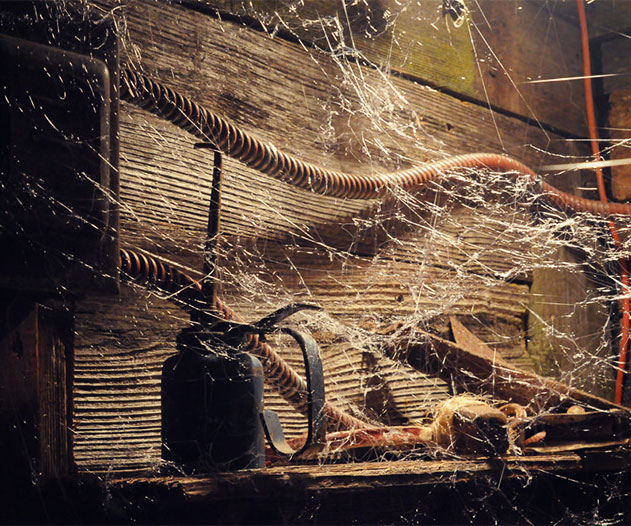 Spiderweb Casting Gun