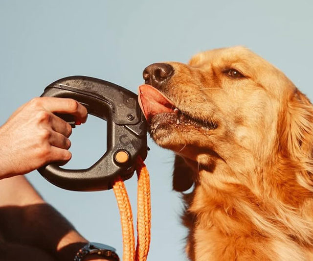 Dog Leash Handle Water Bottle