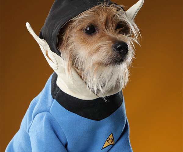 Star Trek Spock Dog Hoodie