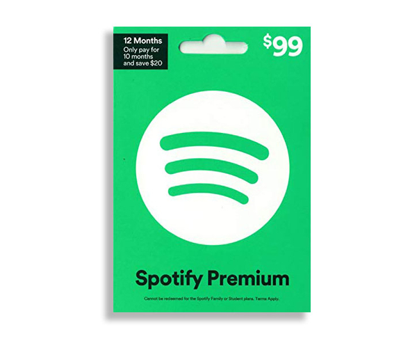 Spotify Premium Subscription