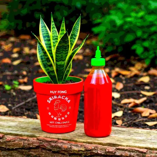 25 Hotter-than-Hot Sriracha Gifts For Anyone Obsessed With Red Rooster Hot Sauce