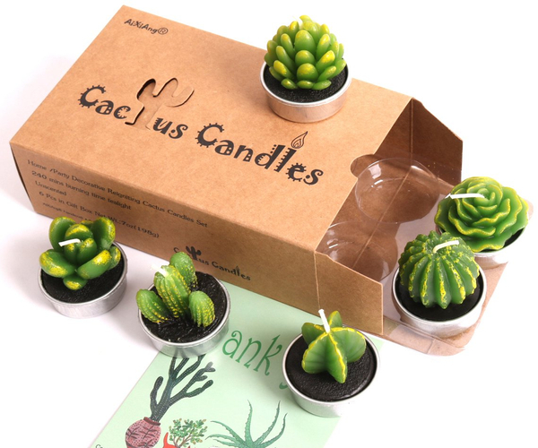 Succulent Cactus Candle Set