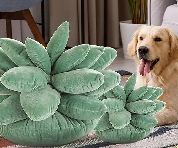 Succulent Pillow