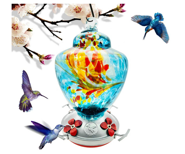 Sugar Water Hummingbird