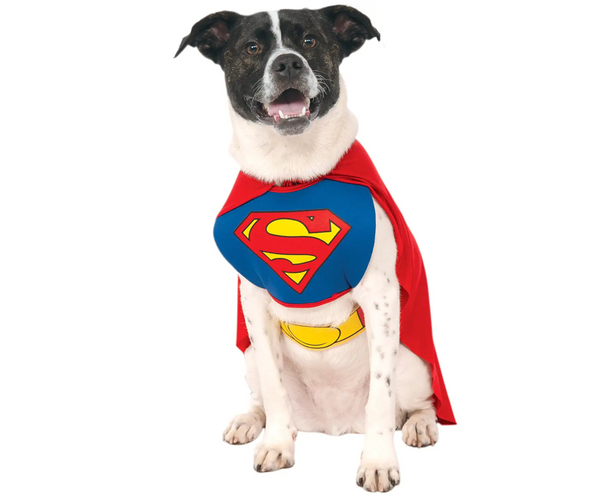Superman Costume for Dogs