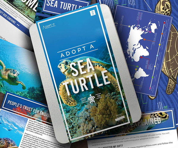 Support Sea Life and Adopt a Sea Turtle