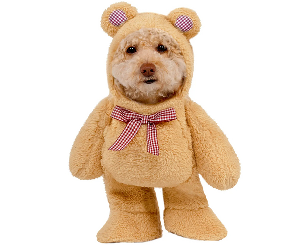 Teddy Bear Dog Costume