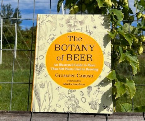 The Botany Of Beer