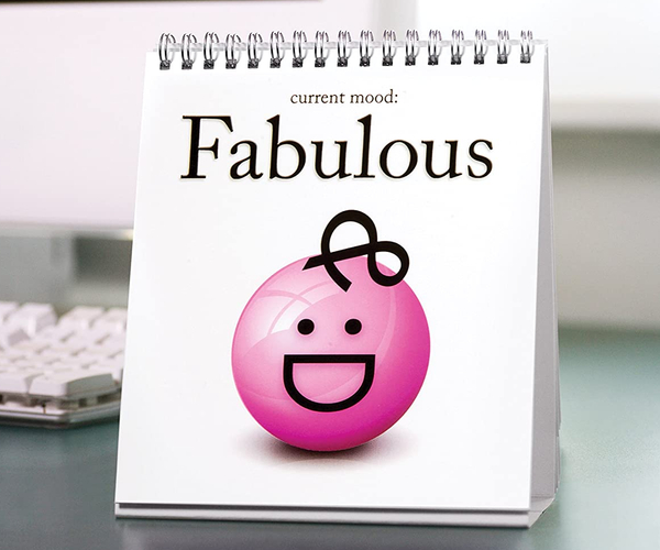 The Daily Mood Desk Flipchart