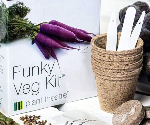 The Funky Vegetable Kit