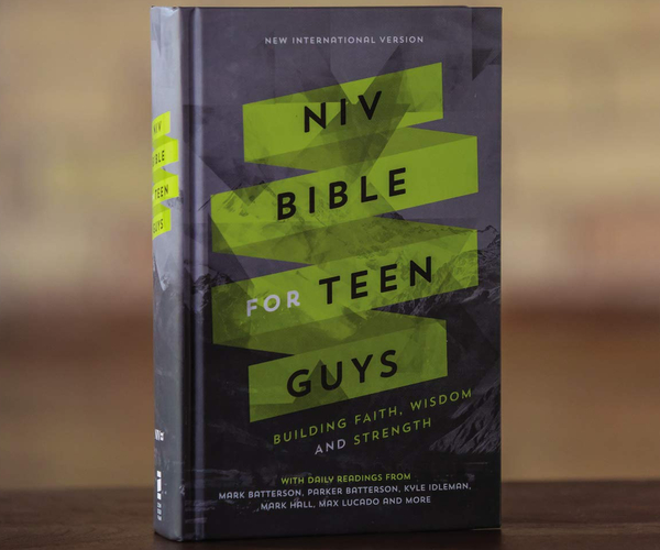 The NIV Bible for Teen Guys