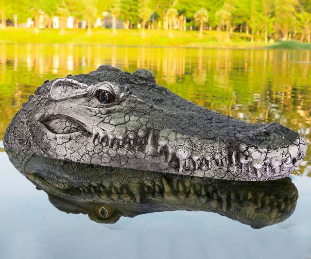Remote Control Crocodile Head