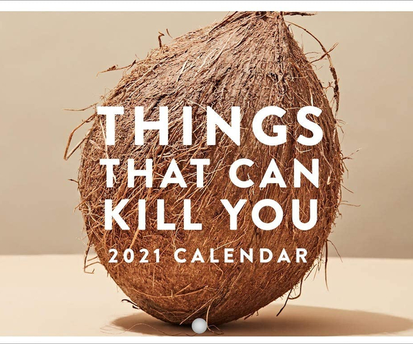 Things That Can Kill You Funny Calendar