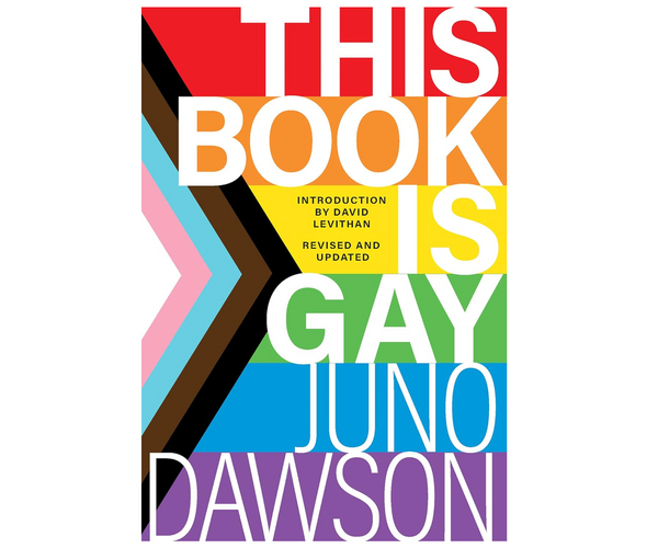 This Book is Gay