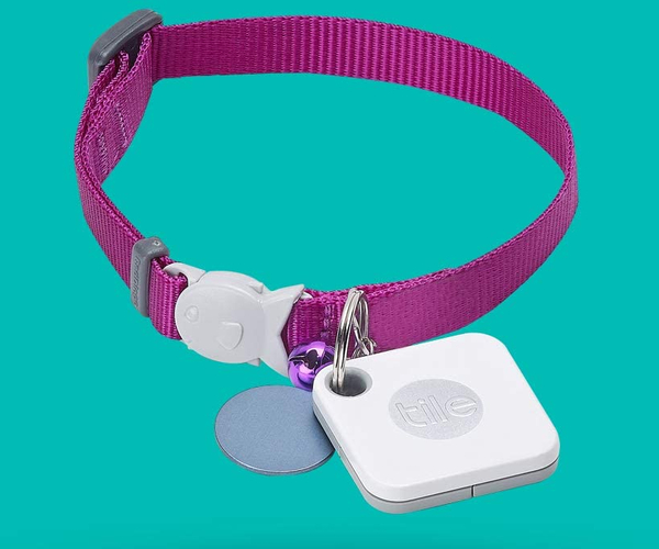 Tile Mate Dog Finder