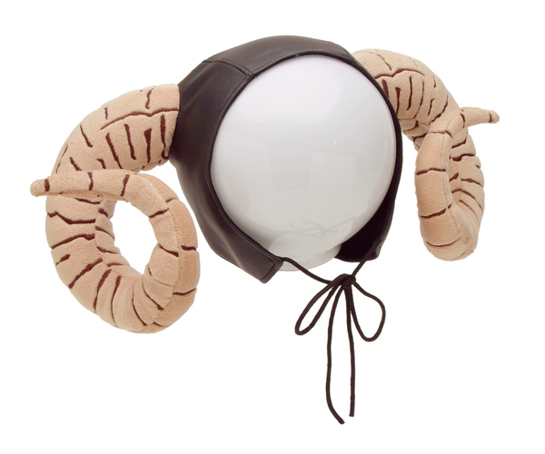 Tim the Enchanter Hat