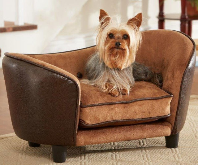 Tiny Doggy Snuggle Sofa