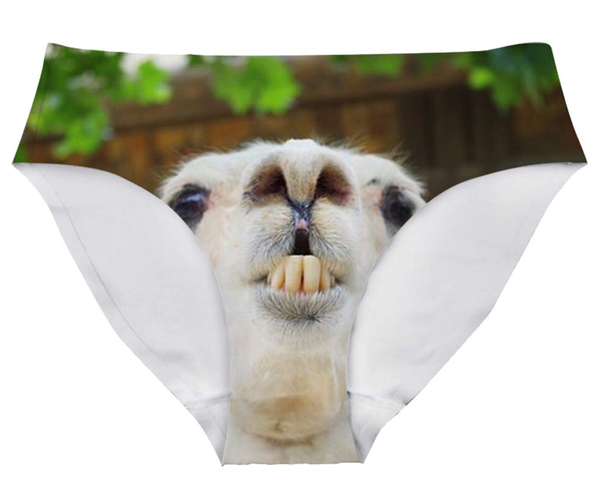 Toothy Alpaca Funny Panties