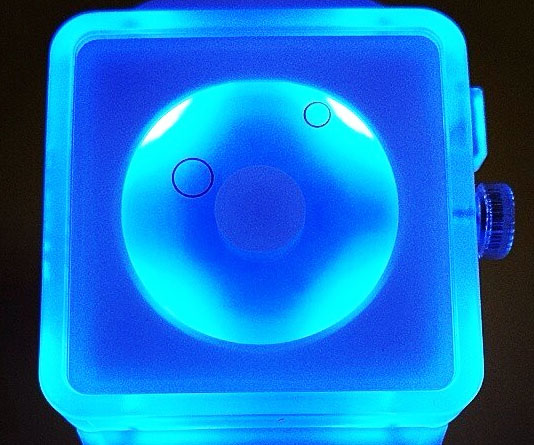 Nixon Translucent Watch