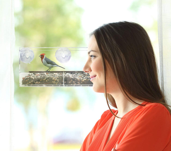 Transparent View Window Bird Feeder