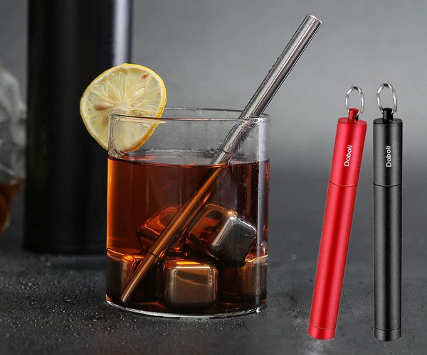 Travel Reusable Straws