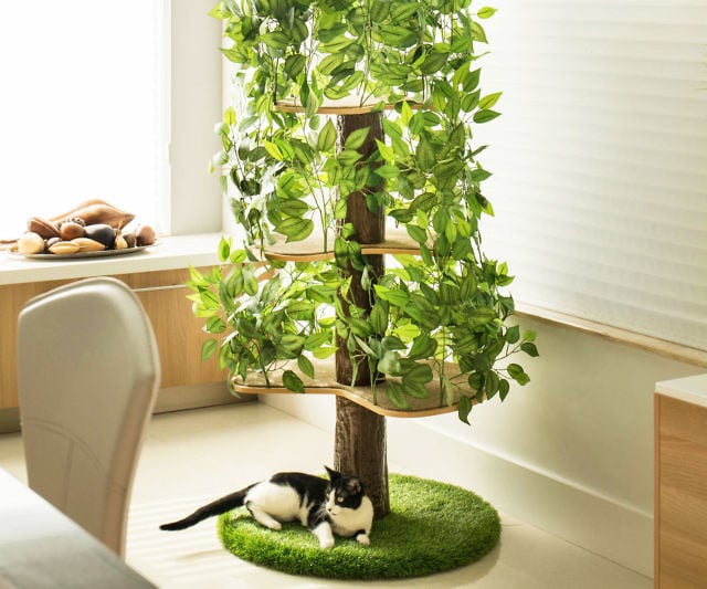 Indoor Cat Tree House