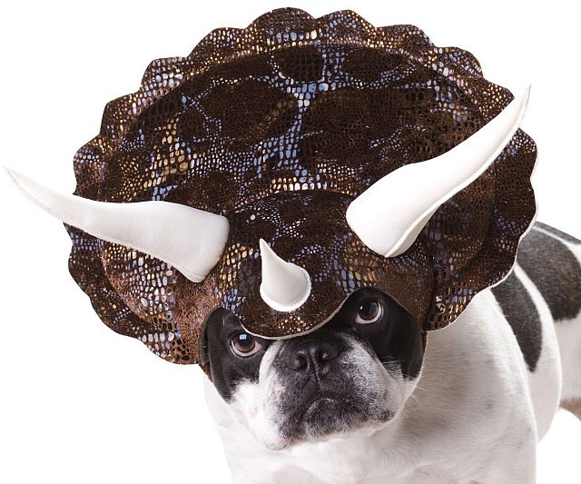 Triceratops Dog Costume