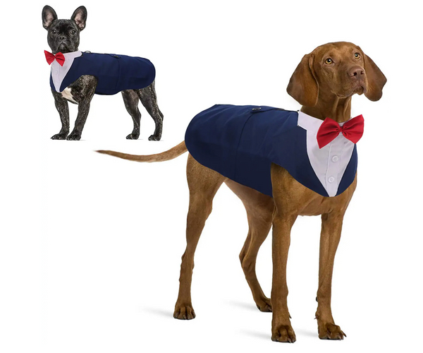 Tuxedo Outfit for Dogs