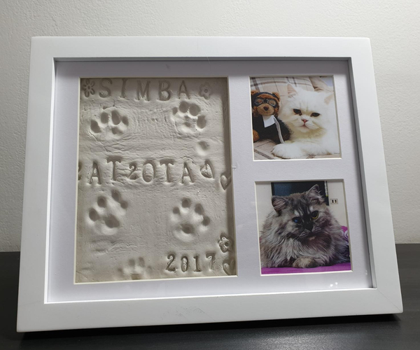 Ultimate Dog or Cat Pet Pawprint Keepsake Kit